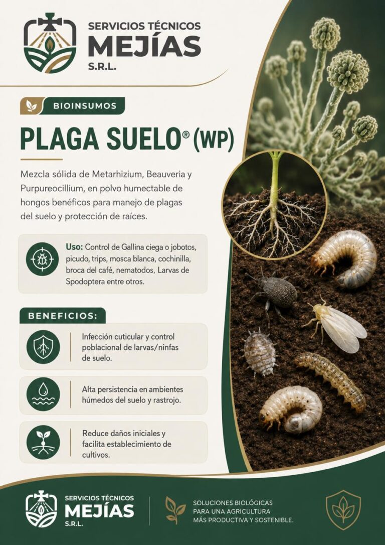 PLAGA SUELO