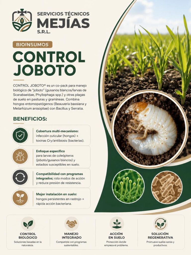 Control Joboto